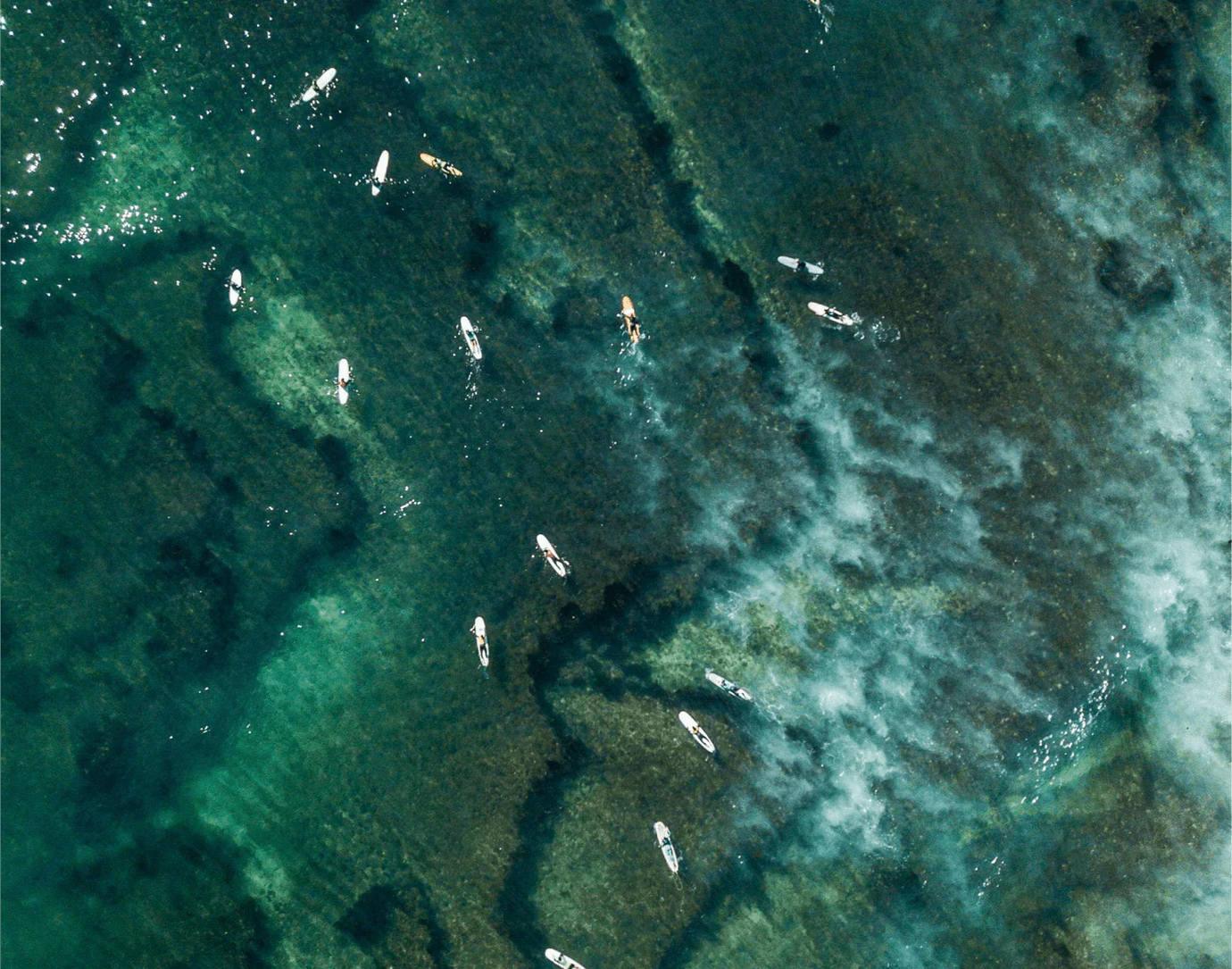 The Myth of “Green” Cleaning: Why Ecover, Method, and Truly Free Still Rely on Palm & Petrochemicals